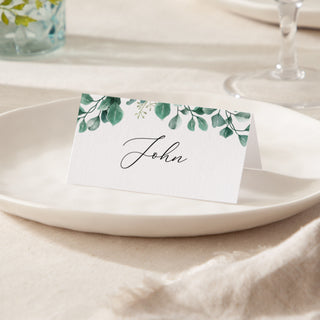 Blue Eucalyptus Place Cards